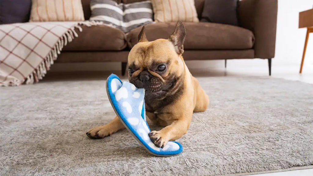 Woof-Tastic Victories of Trash Transformation into Toys!