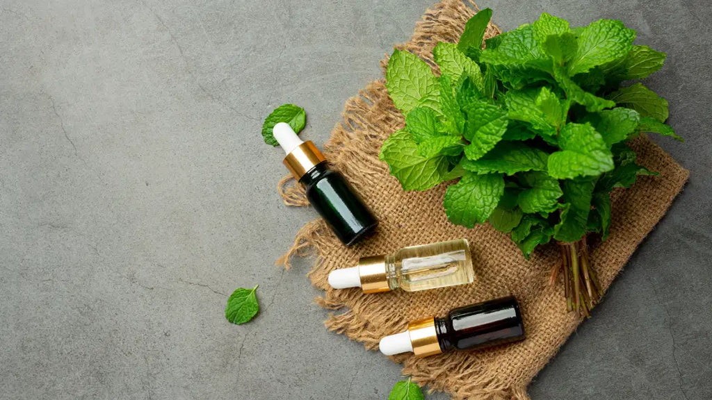 Is peppermint oil safe for dogs?
