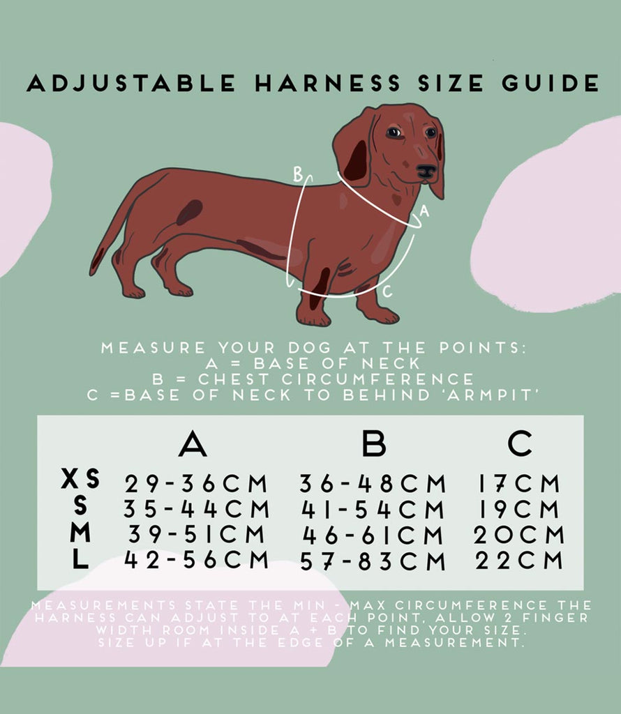 Size chart image