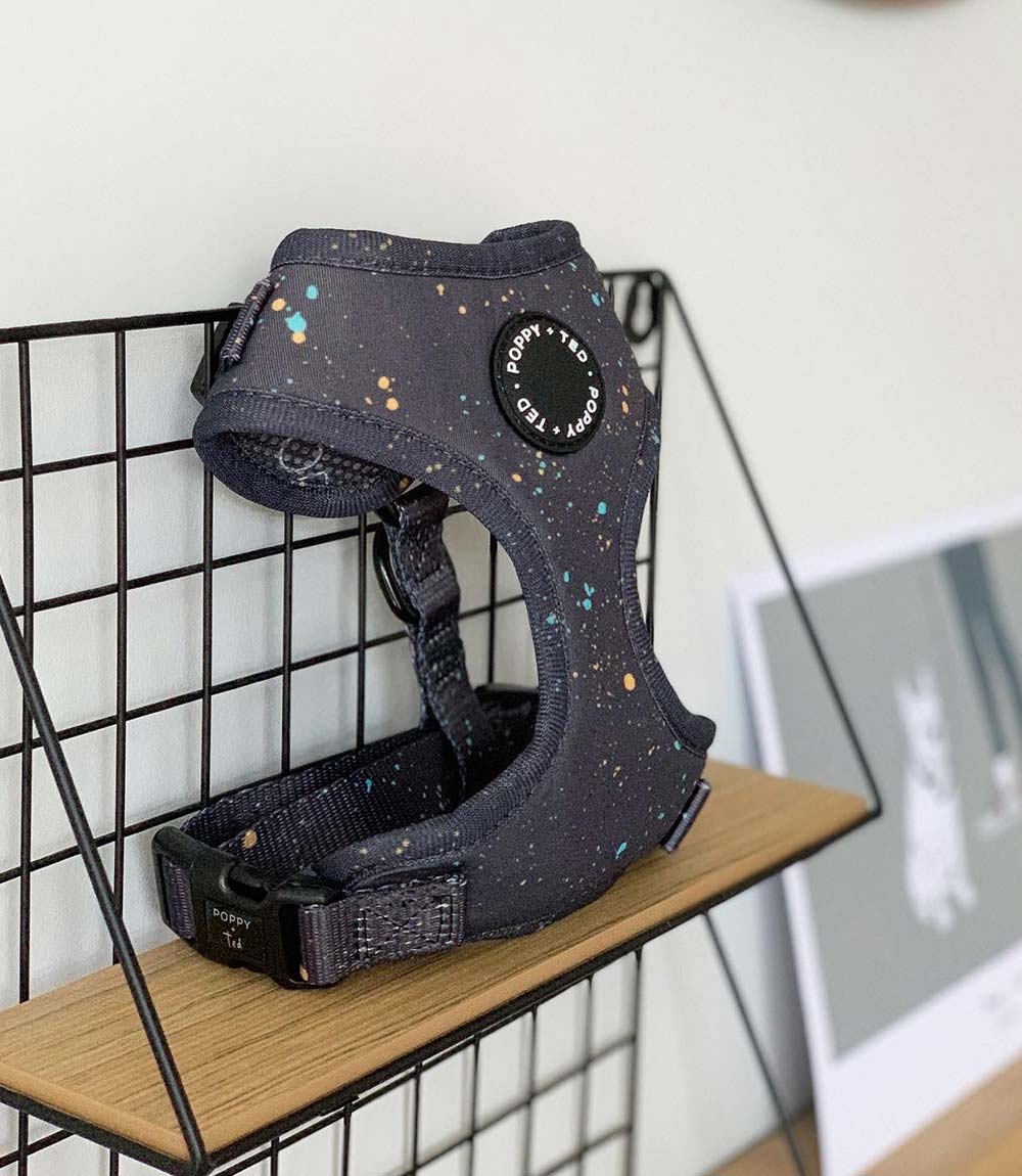 Poppy + Ted - Walk + Wear Gold Dust Dog Harness - Nest Pets