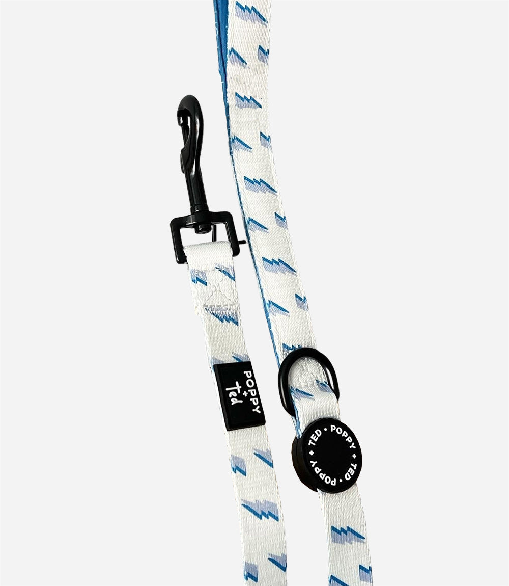 Poppy + Ted - Walk + Wear Get Ziggy With It Dog Lead - Nest Pets