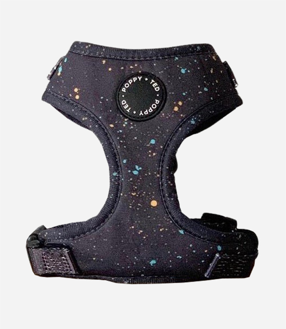 Poppy + Ted - Walk + Wear Gold Dust Dog Harness - Nest Pets