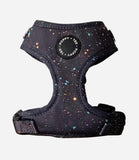 Poppy + Ted - Walk + Wear Gold Dust Dog Harness
