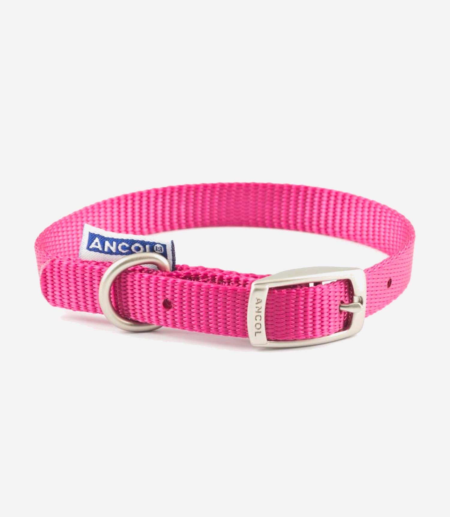Ancol Nylon Dog Collar - Nest Pets