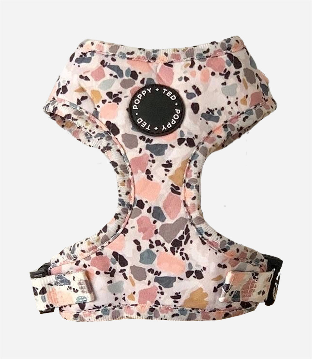 Poppy + Ted - Walk + Wear Party Pup Dog Harness - Nest Pets