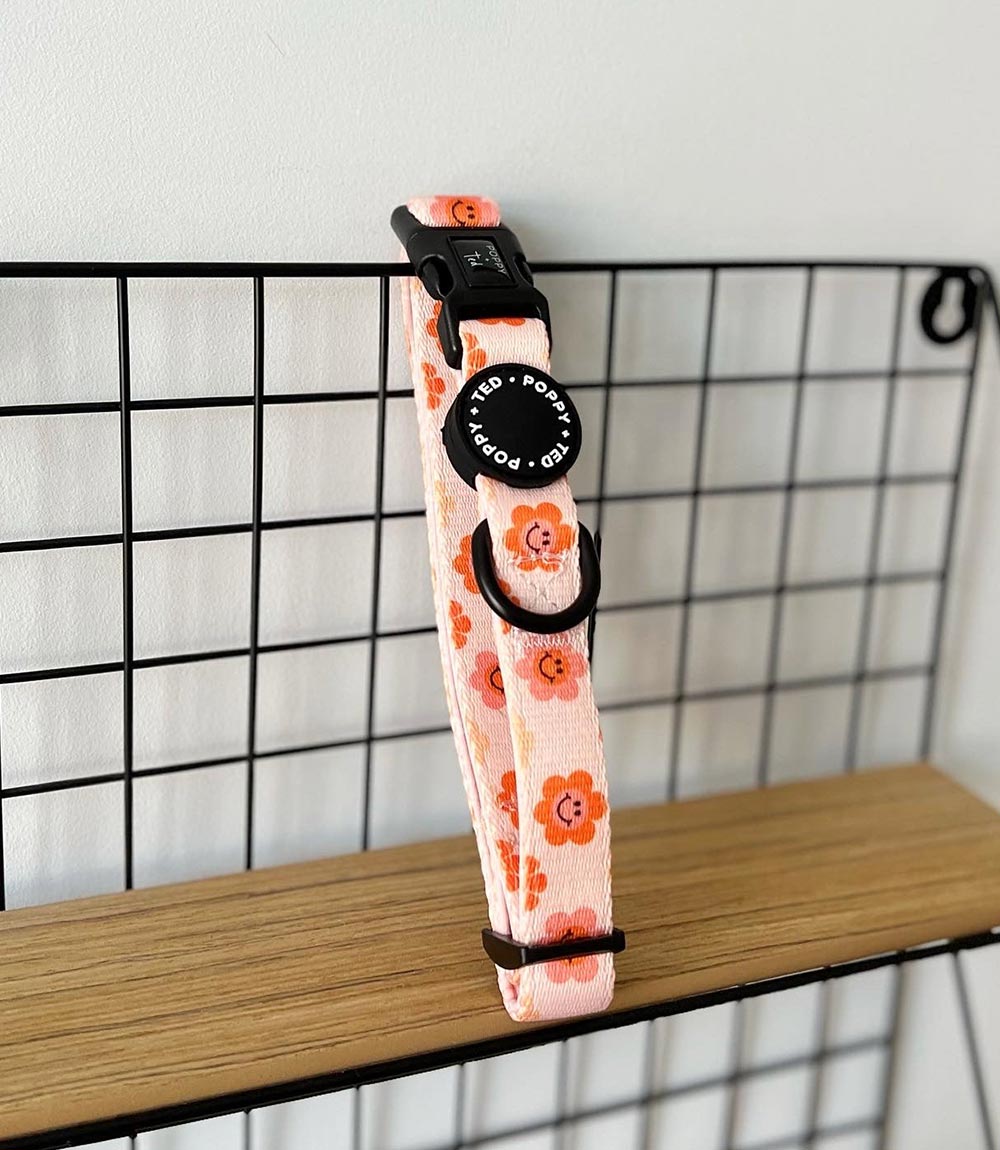 Poppy + Ted - Walk + Wear Flower Power Dog Collar - Nest Pets