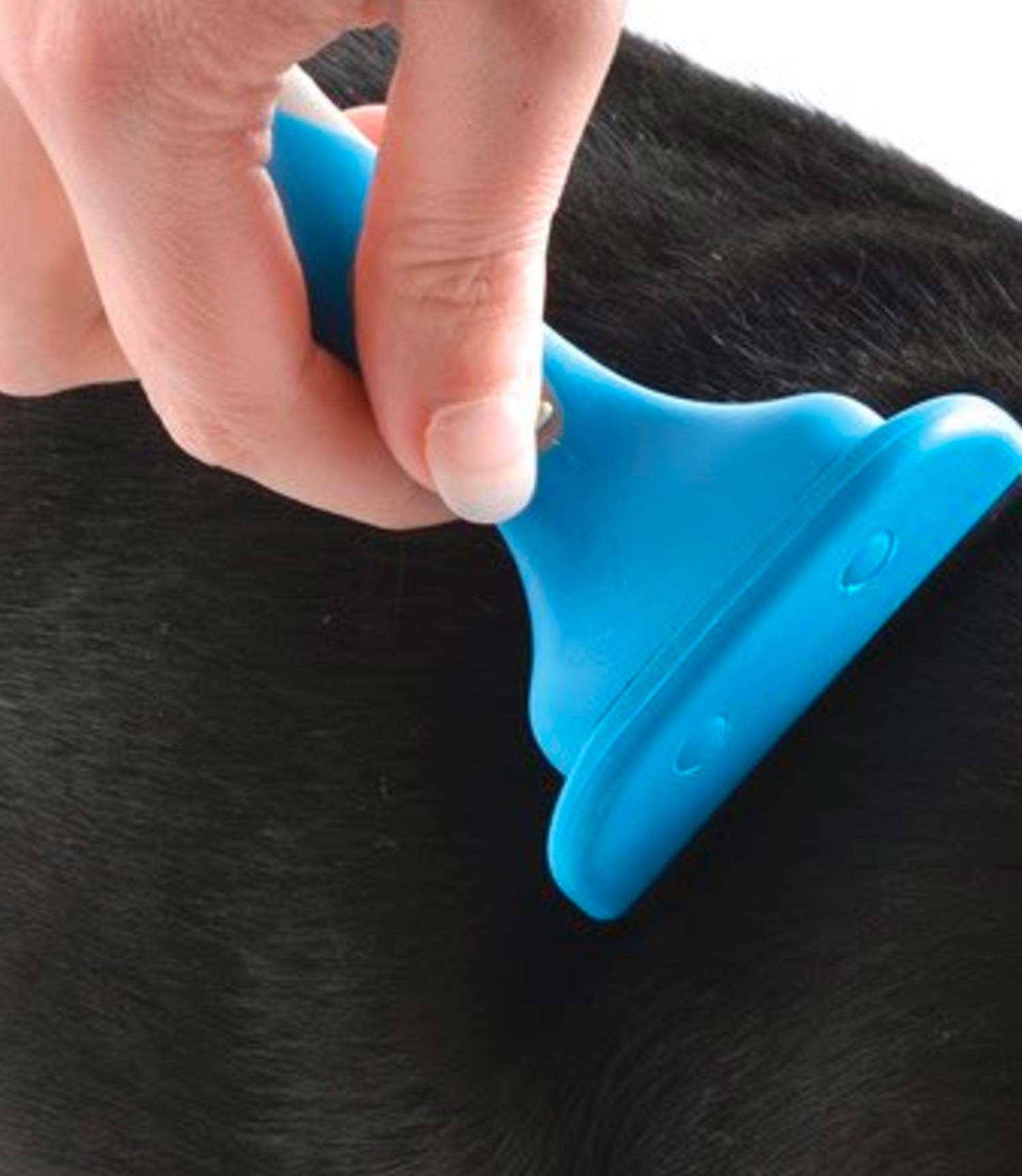 Ancol Ergo Shedmaster Tool - Nest Pets
