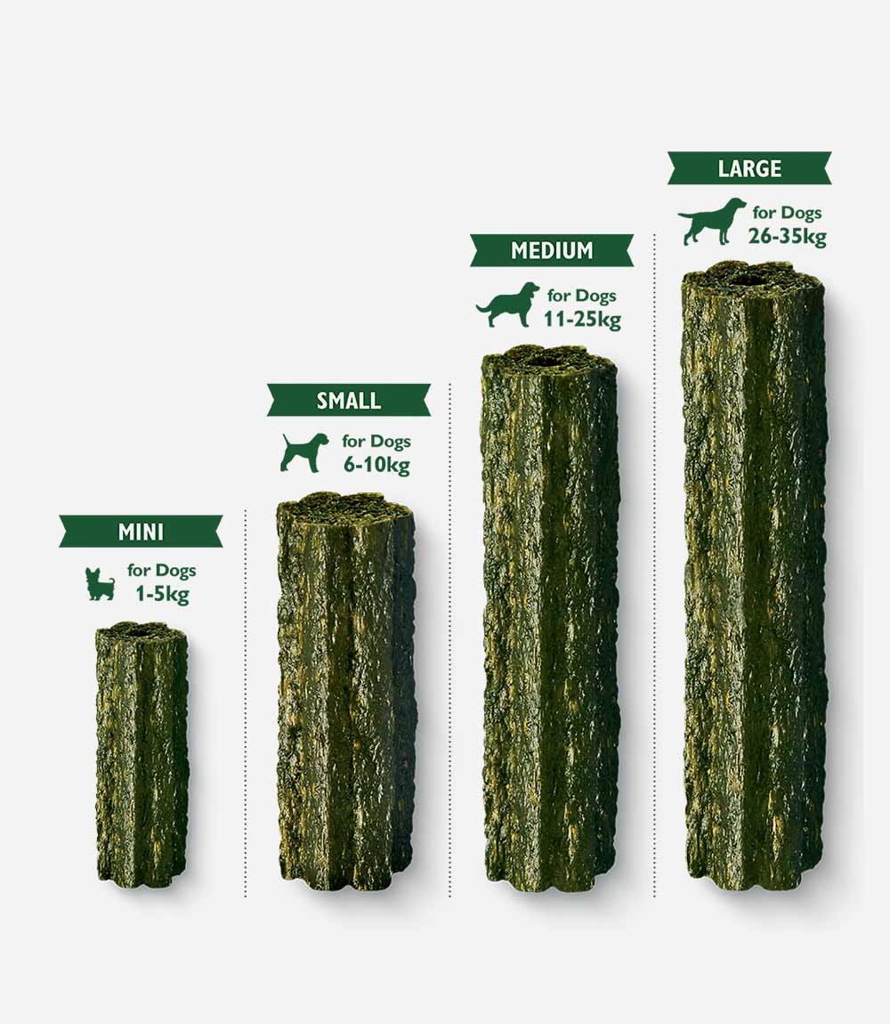 Lily's Kitchen Dog Woofbrush Dental Chew Dog Treats - Nest Pets