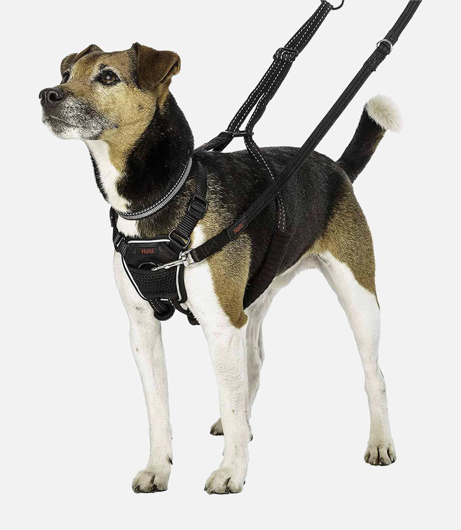 Halti No Pull Dog Harness - Nest Pets