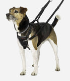 Halti No Pull Dog Harness - Nest Pets