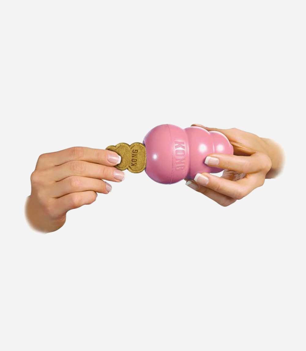 KONG Snacks Puppy Dog Treats - Nest Pets