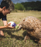 Paw Buddy Paw Cleaning Tool - Nest Pets