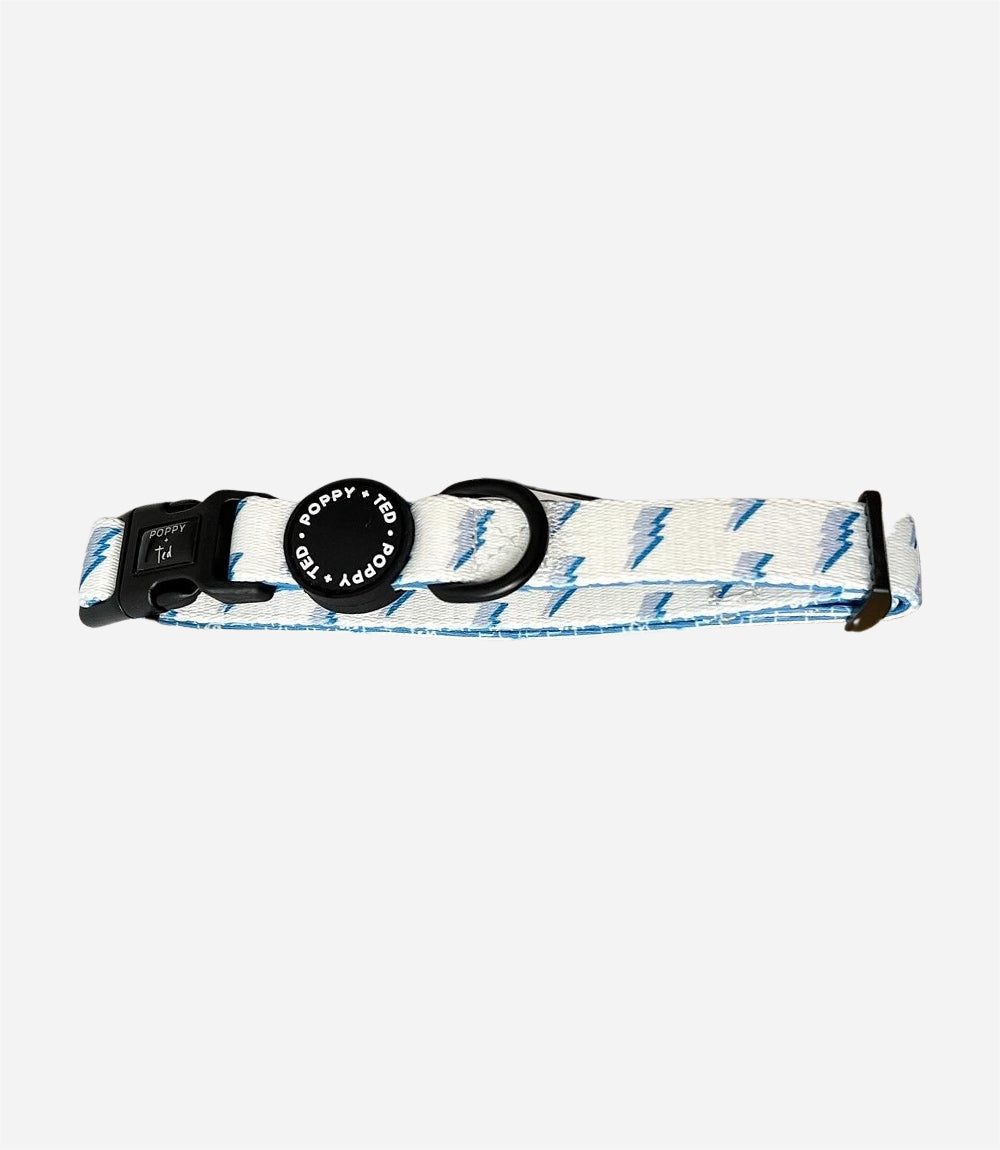 Poppy + Ted - Walk + Wear Get Ziggy With It Dog Collar - Nest Pets
