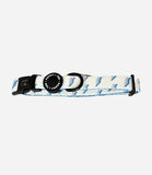 Poppy + Ted - Walk + Wear Get Ziggy With It Dog Collar