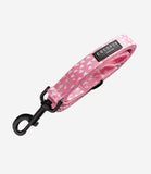 Cocopup London - Cupid Lead