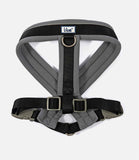 Ancol Viva Padded Dog Harness
