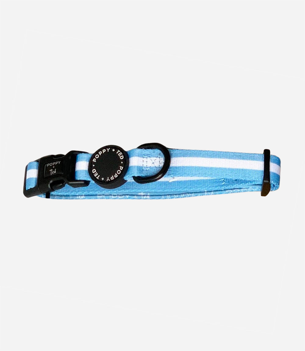 Poppy + Ted - Walk + Wear Cornflower Blue Dog Collar - Nest Pets