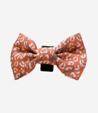 Cocopup London - Stay Wild Bow Tie