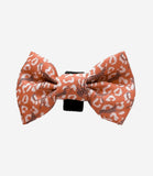 Cocopup London - Stay Wild Bow Tie - Nest Pets