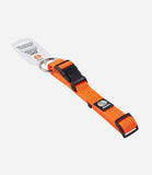 Sharples Walk 'R' Cise Reflecta 'A' Dog Collar