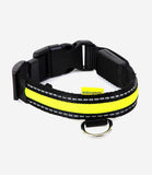 Walking Mate LED Dog Collar - Nest Pets