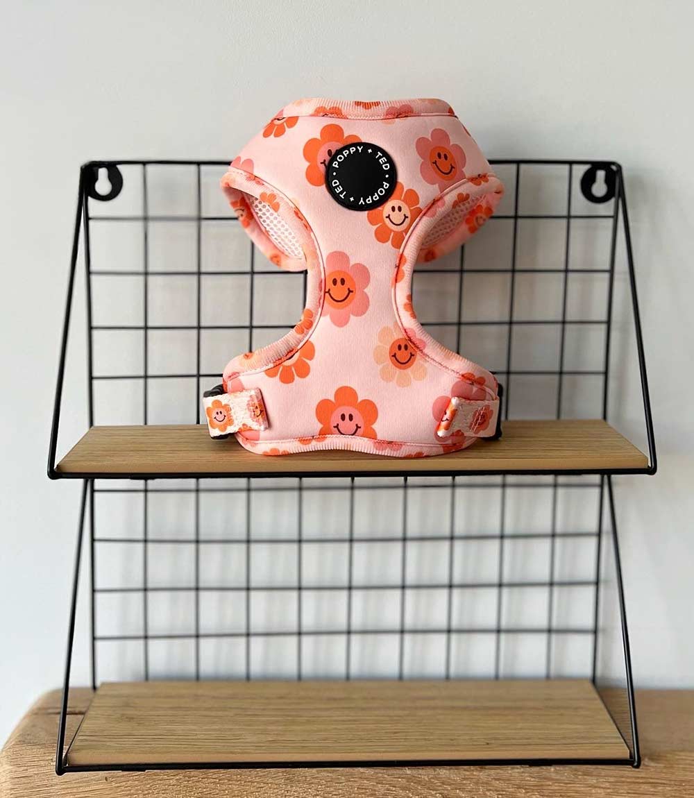 Poppy + Ted - Walk + Wear Flower Power Dog Harness - Nest Pets