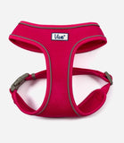 Ancol Comfort Mesh Dog Harness - Nest Pets