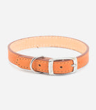 Ancol Leather Dog Collar