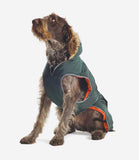 Ancol Green Parka Coat - Nest Pets