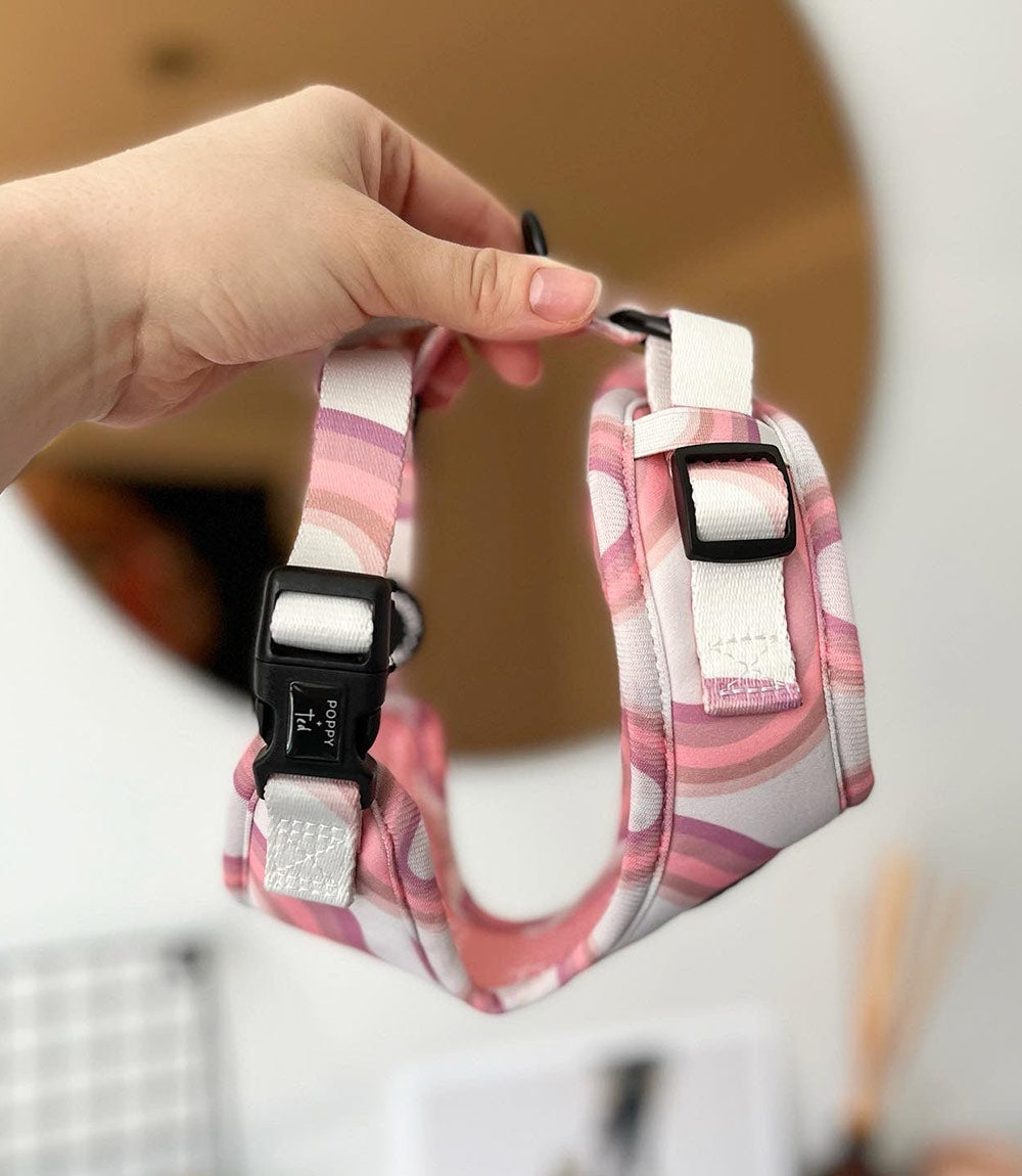 Poppy + Ted - Walk + Wear Pink Vibes Dog Harness - Nest Pets