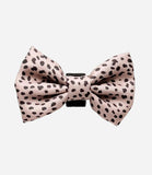 Cocopup London - Tan Spots Bow Tie - Nest Pets