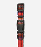 Ancol Adjustable Tartan Dog Collar - Nest Pets