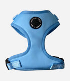 Poppy + Ted - Walk + Wear Cornflower Blue Dog Harness