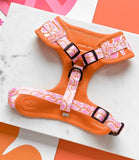 Cocopup London - 70's Swirl Harness - Nest Pets
