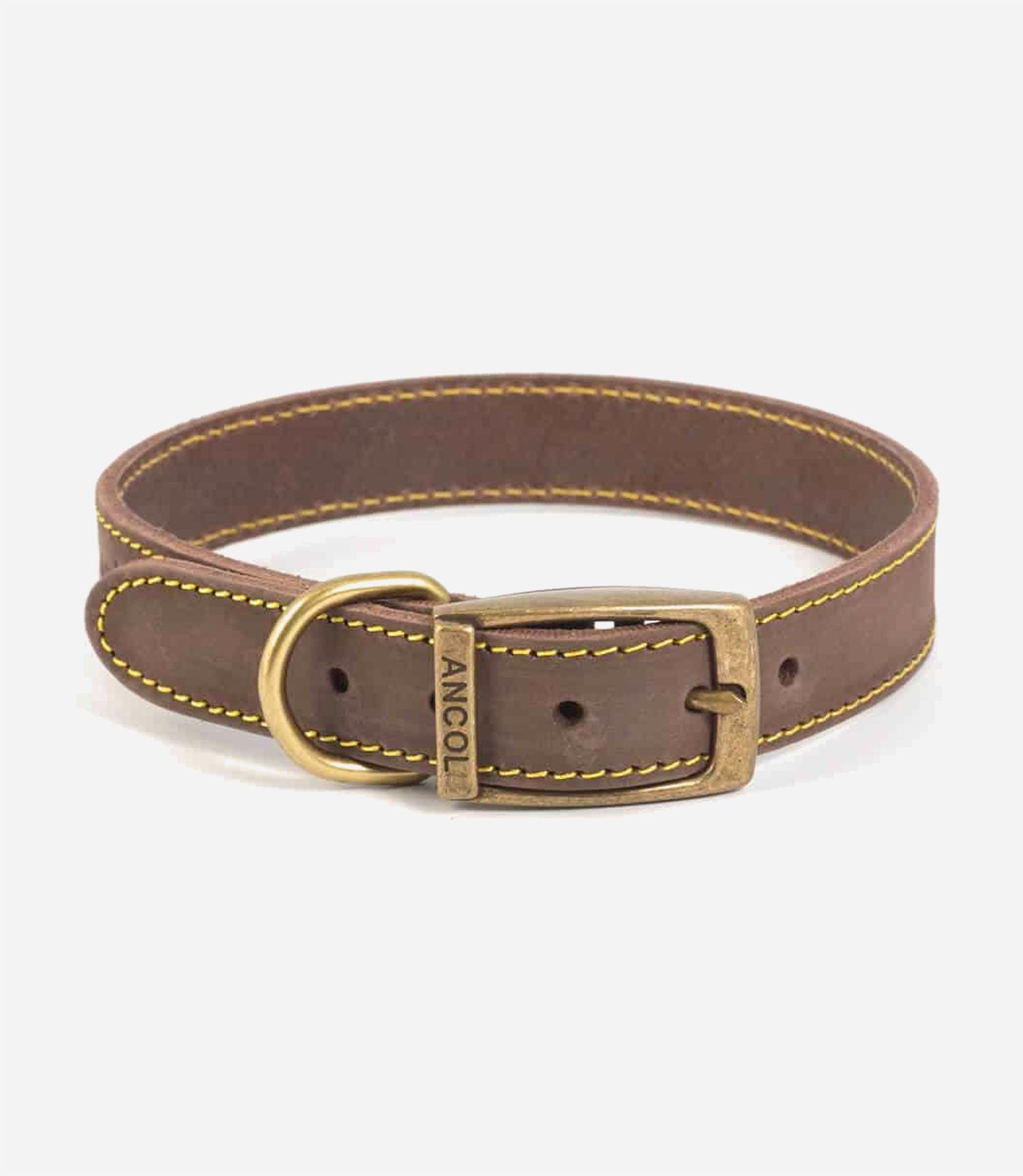 Ancol Timberwolf Dog Collar - Nest Pets