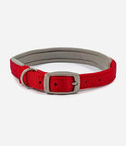 Ancol Padded Buckle Air Hold Dog Collar - Nest Pets