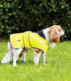 Ancol Stormguard Coat Hivis - Nest Pets