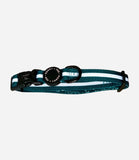 Poppy + Ted - Walk + Wear Teal Dog Collar - Nest Pets