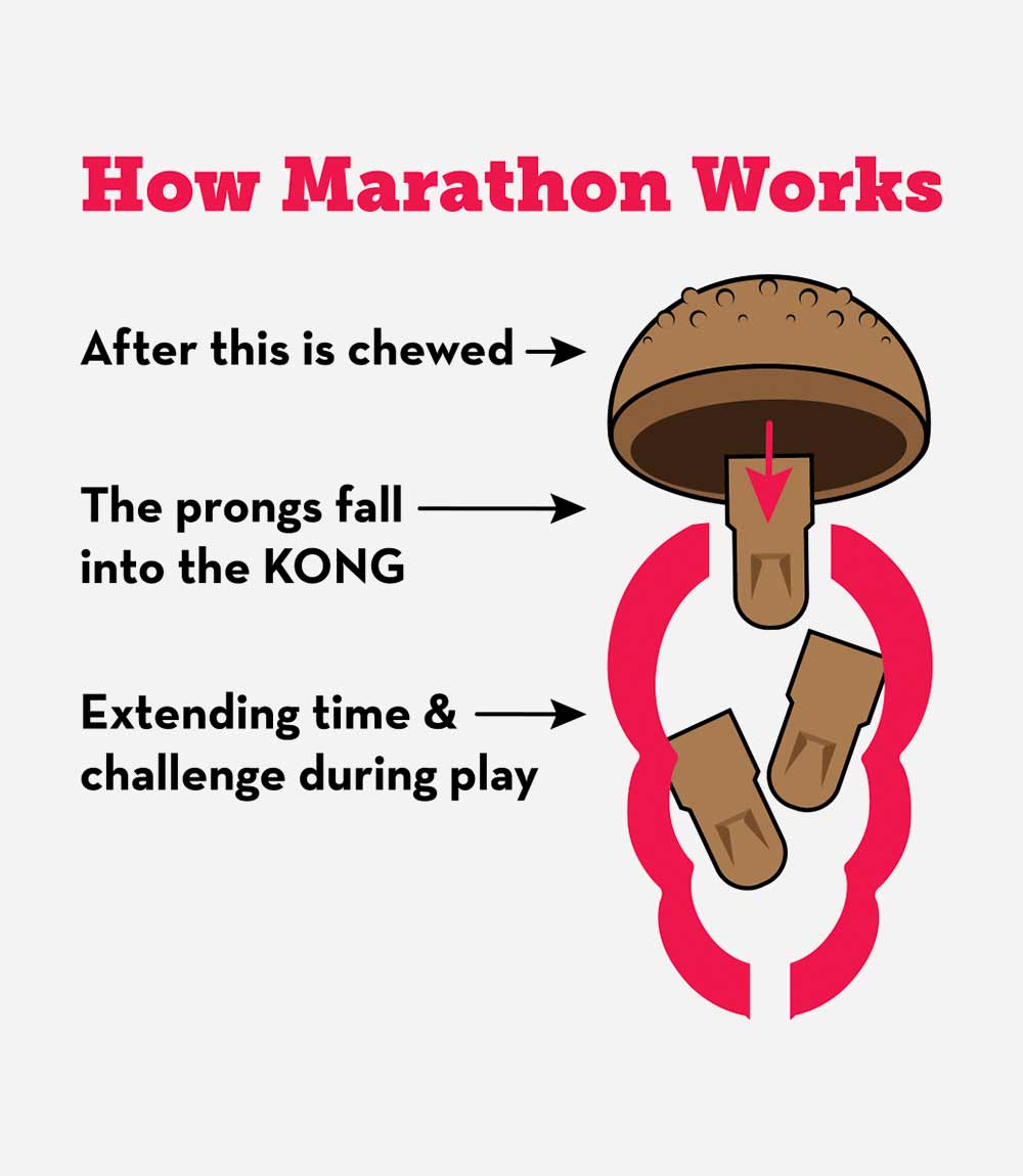 KONG Marathon Chicken Dog Treats - 2 Pack - Nest Pets