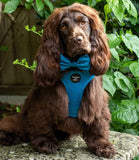 Hounds of Eden 'Bruce' - Blue & Teal Herringbone Tweed Dog Bow Tie - Nest Pets
