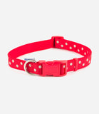 Ancol Vintage Polka Dog Collar - Nest Pets