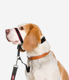 Halti Optifit Headcollar for Dogs - Nest Pets