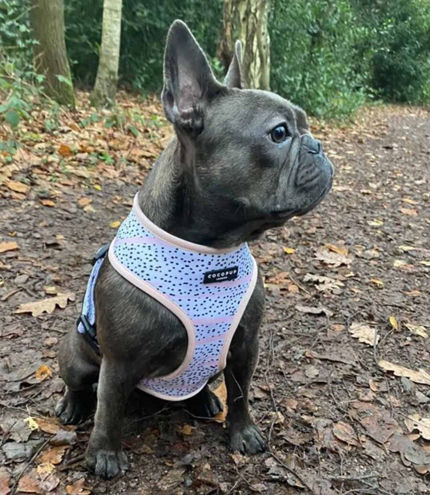 Cocopup London - Pink Dalmatian Reversible Harness - Nest Pets
