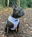 Cocopup London - Pink Dalmatian Reversible Harness - Nest Pets