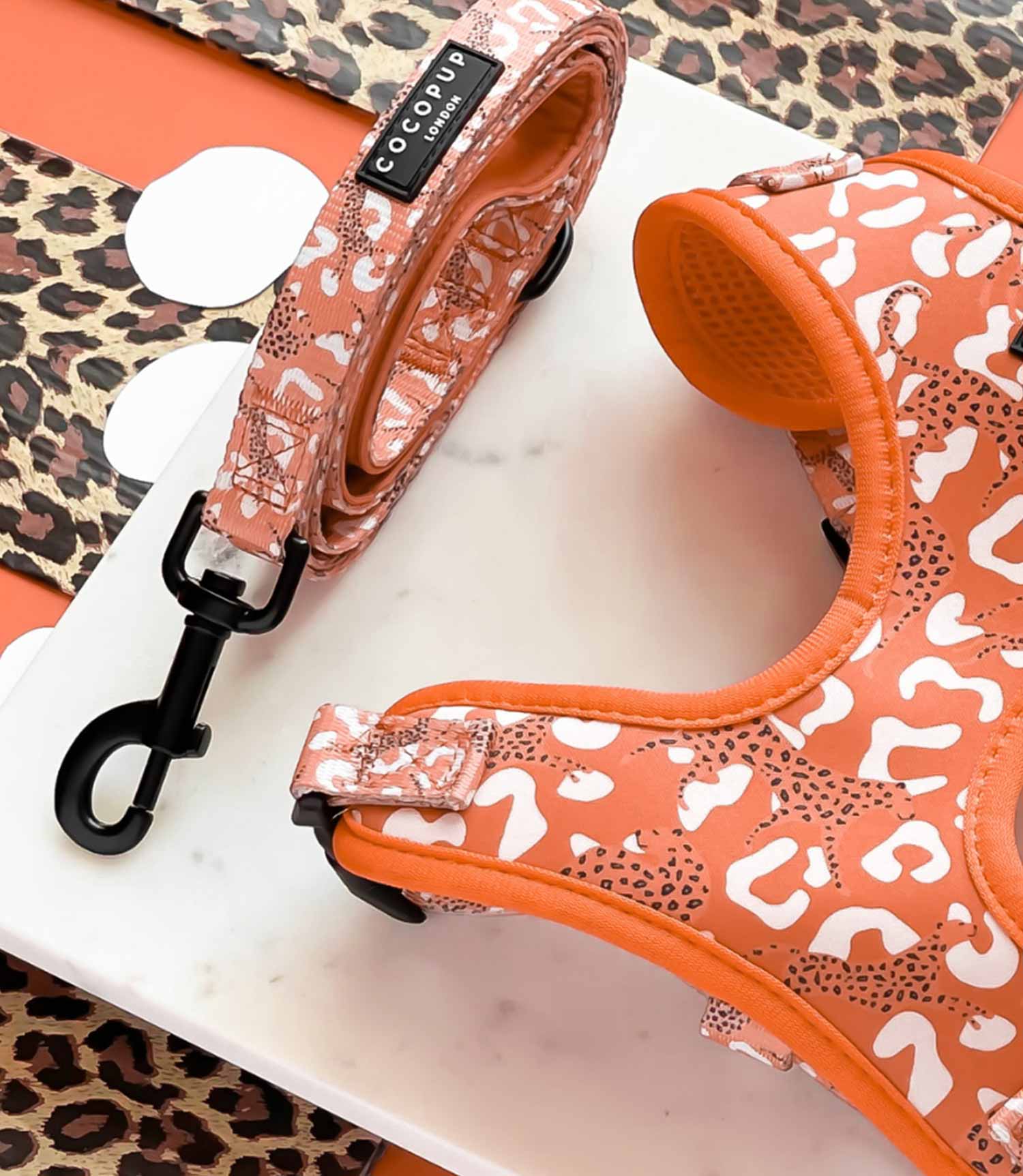 Cocopup London - Stay Wild Lead - Nest Pets