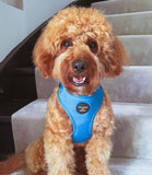Hounds of Eden 'Bruce' - Blue & Teal Herringbone Dog Harness - Nest Pets