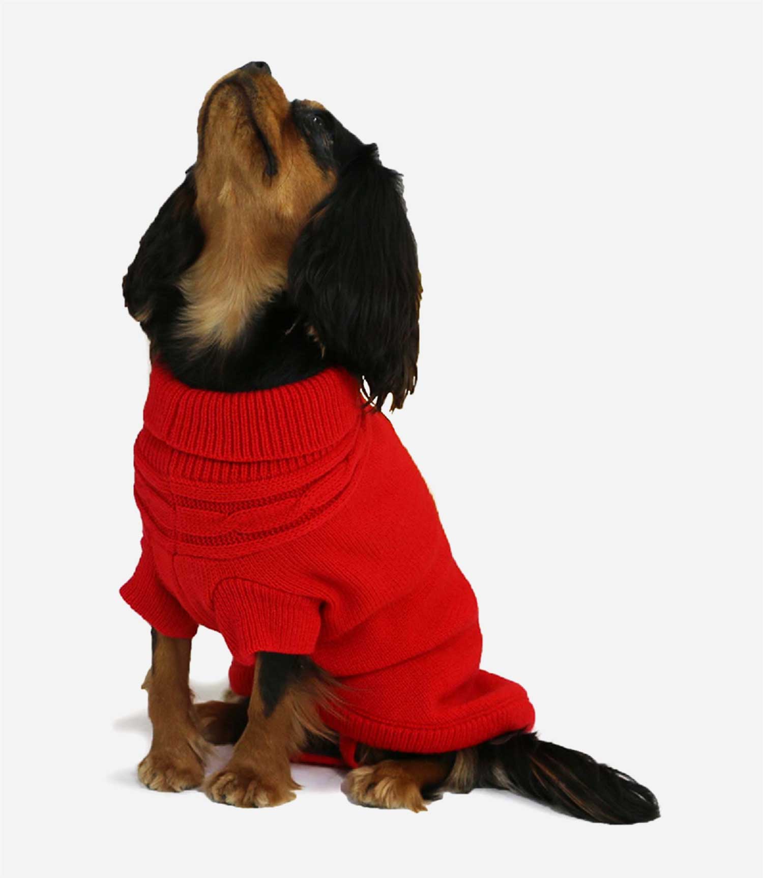 Ancol Cable Knitted Jumper - Nest Pets
