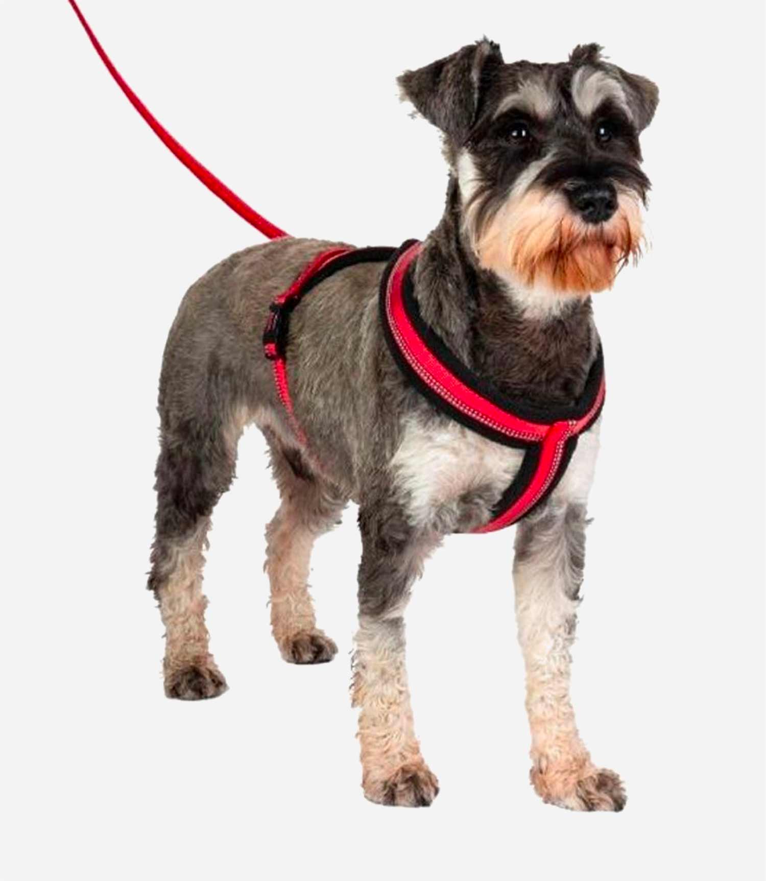 Halti Comfy Dog Harness - Nest Pets