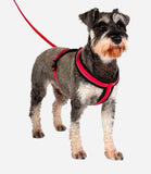 Halti Comfy Dog Harness - Nest Pets