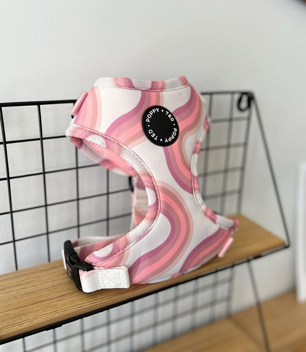 Poppy + Ted - Walk + Wear Pink Vibes Dog Harness - Nest Pets